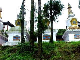 �X�g�D�[�p���ĉ����m���Ă܂��H�m��Ȃ��l�͎�����������