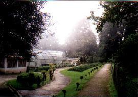 �C�M���X�̑��������C�hLioyd�A�����ł�