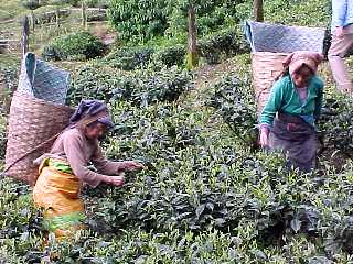 ���E�ł��B�Ζʂ͂������}�ł�