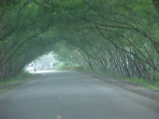 ���B�������B