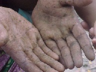 ���̐l�̎�