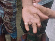 �ؒf�����w�̐�