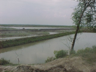 �X���n��͂��̂悤�ɓy�����͐ς��Ă���