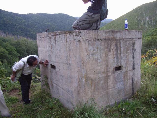 �S��������̃g�[�`�J