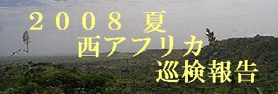 2008�N�Đ��A�t���J������