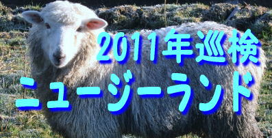 2011�N�j���[�W�[�����h�����̕�