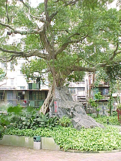 �Վ��B���j�̔Ԑl