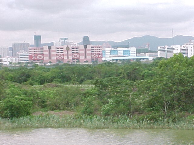 �Ě����R�ی��̖쒹�������[�Z����]�ށB���R�̎c�鍁�`���ƃr���̗ї�����[�Z�����Ƃ̑ΏƂ͖��m