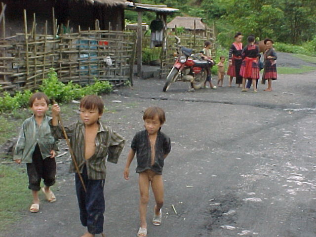 �������̑��ł�