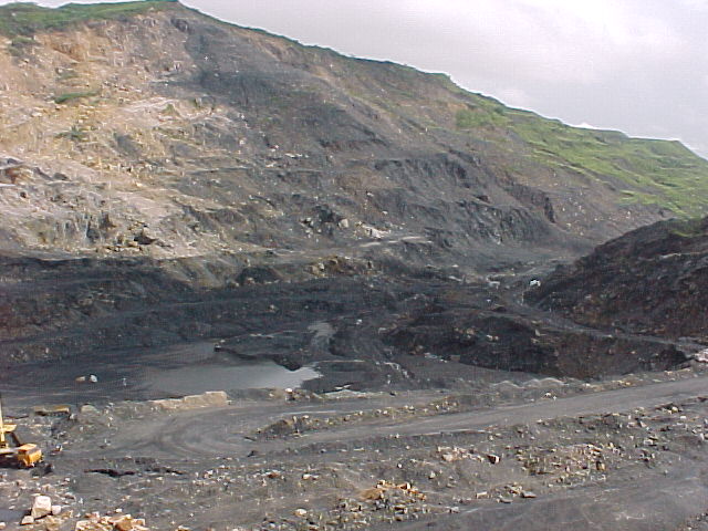 �L���ł���