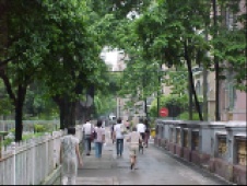 ���ʂ̊X����