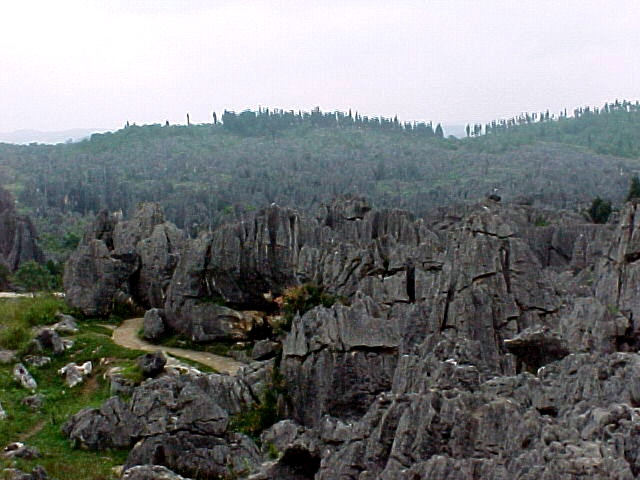 ���{�̏H�g��Ƃ͔�ו��ɂȂ�Ȃ��X�P�[���̑傫���I