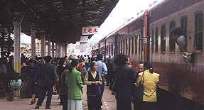 �����k�w�̗l�q